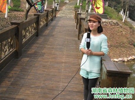 AG旗舰厅(中国游)官方网站