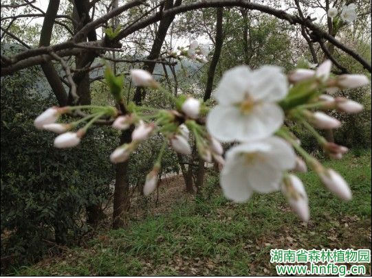 AG旗舰厅(中国游)官方网站