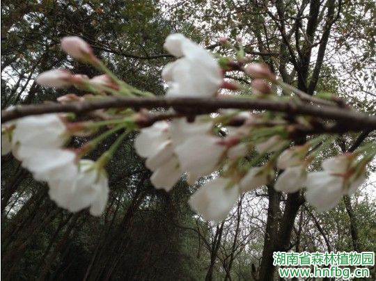 AG旗舰厅(中国游)官方网站