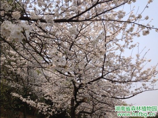 AG旗舰厅(中国游)官方网站