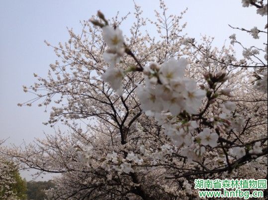 AG旗舰厅(中国游)官方网站