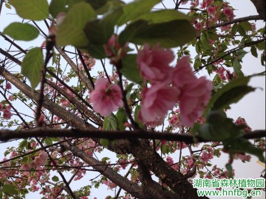 AG旗舰厅(中国游)官方网站