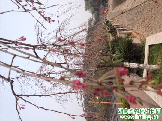 AG旗舰厅(中国游)官方网站