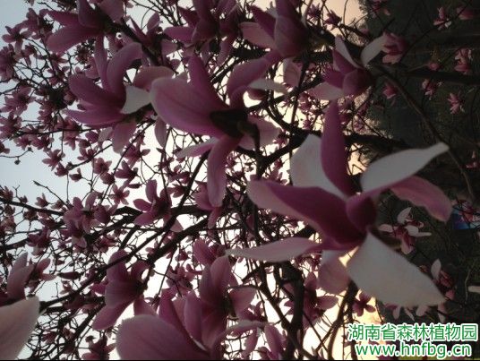 AG旗舰厅(中国游)官方网站