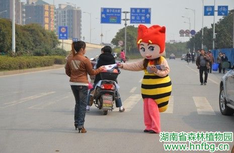 AG旗舰厅(中国游)官方网站