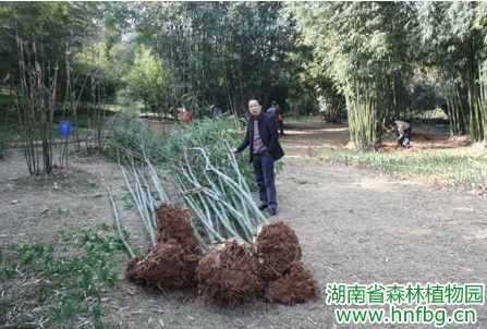 AG旗舰厅(中国游)官方网站