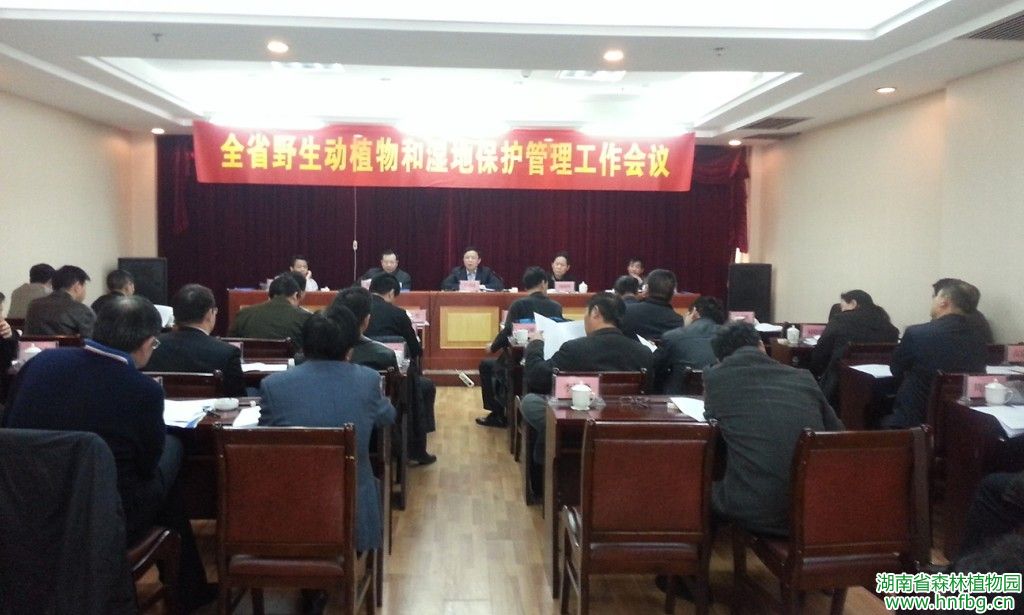 AG旗舰厅(中国游)官方网站