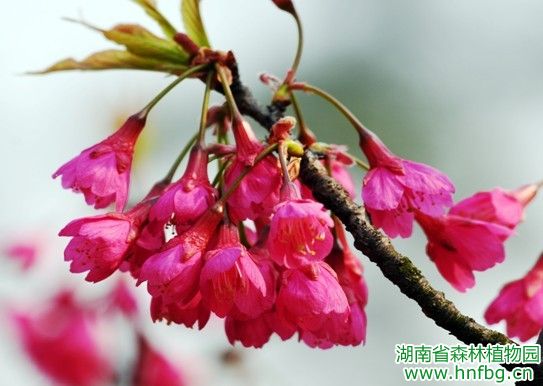AG旗舰厅(中国游)官方网站