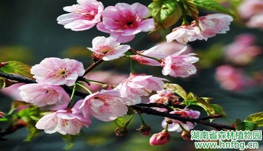 AG旗舰厅(中国游)官方网站