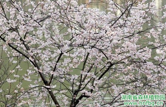 AG旗舰厅(中国游)官方网站