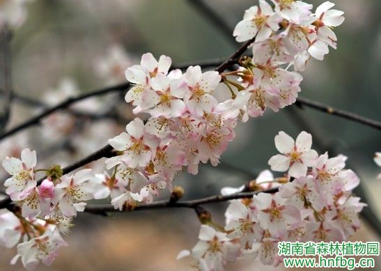 AG旗舰厅(中国游)官方网站