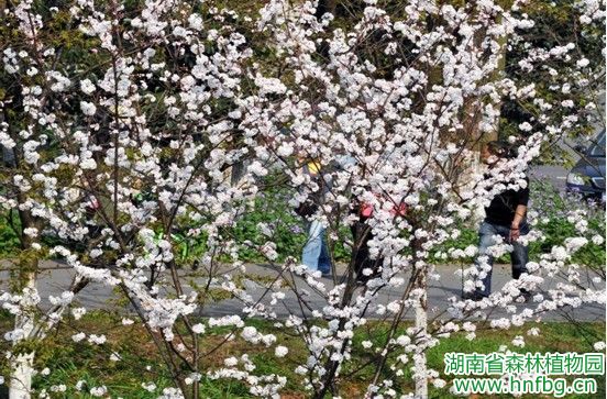AG旗舰厅(中国游)官方网站