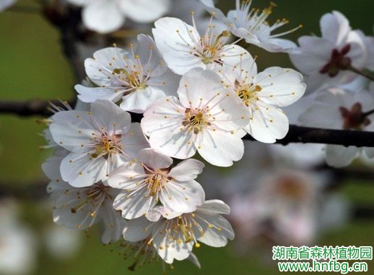 AG旗舰厅(中国游)官方网站