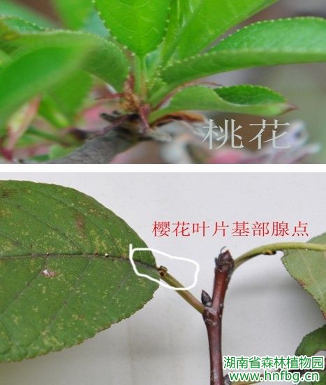 AG旗舰厅(中国游)官方网站