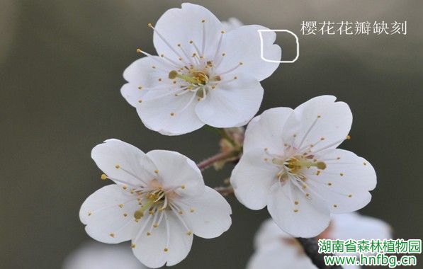AG旗舰厅(中国游)官方网站