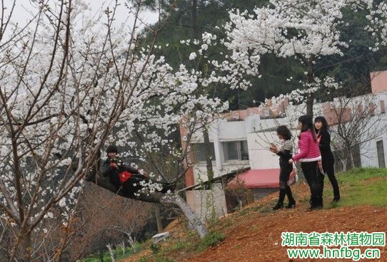 AG旗舰厅(中国游)官方网站