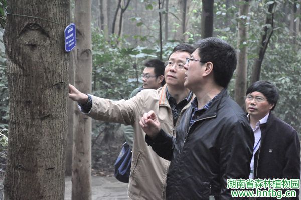 AG旗舰厅(中国游)官方网站