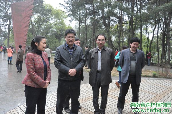 AG旗舰厅(中国游)官方网站