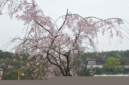 AG旗舰厅(中国游)官方网站