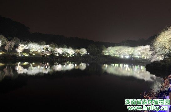 AG旗舰厅(中国游)官方网站