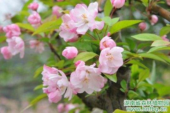 AG旗舰厅(中国游)官方网站