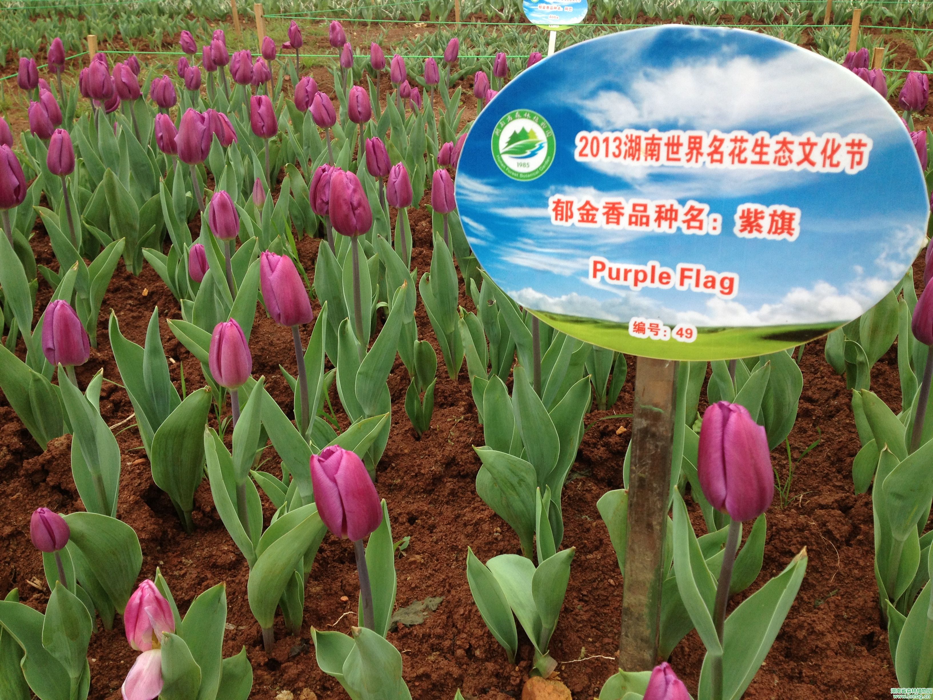 AG旗舰厅(中国游)官方网站