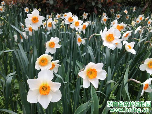 AG旗舰厅(中国游)官方网站