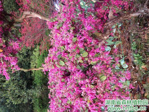 AG旗舰厅(中国游)官方网站