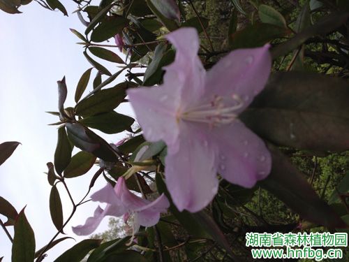 AG旗舰厅(中国游)官方网站