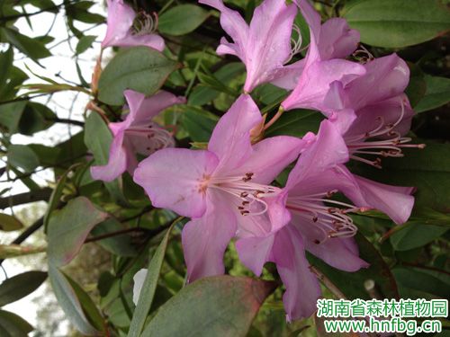 AG旗舰厅(中国游)官方网站