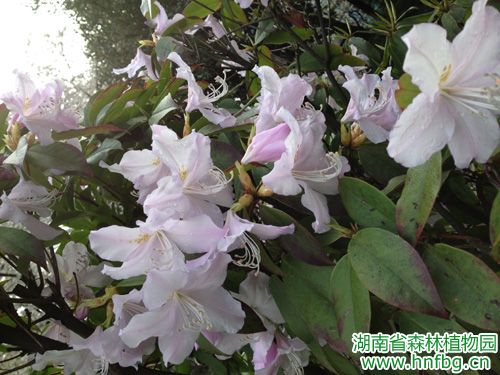AG旗舰厅(中国游)官方网站