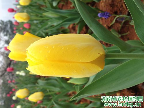 AG旗舰厅(中国游)官方网站