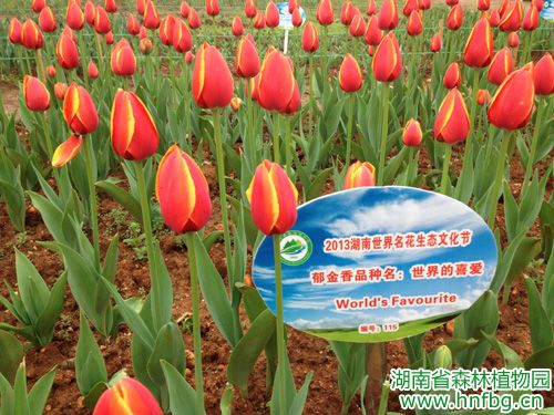 AG旗舰厅(中国游)官方网站