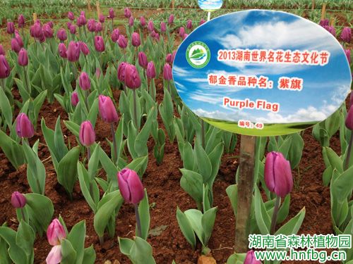 AG旗舰厅(中国游)官方网站