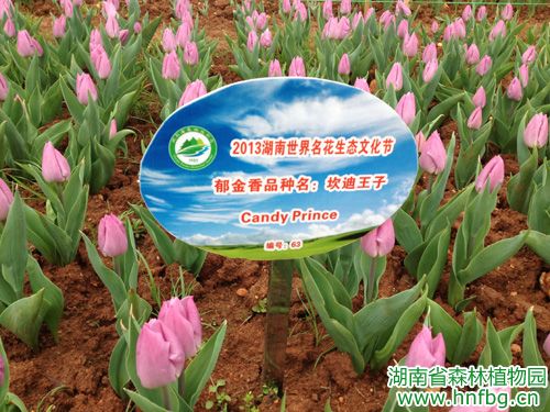 AG旗舰厅(中国游)官方网站
