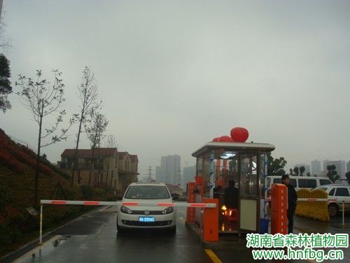 AG旗舰厅(中国游)官方网站