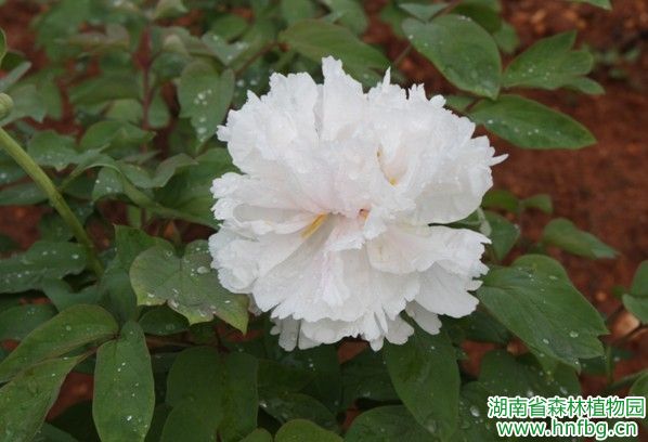 AG旗舰厅(中国游)官方网站
