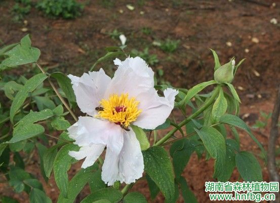AG旗舰厅(中国游)官方网站