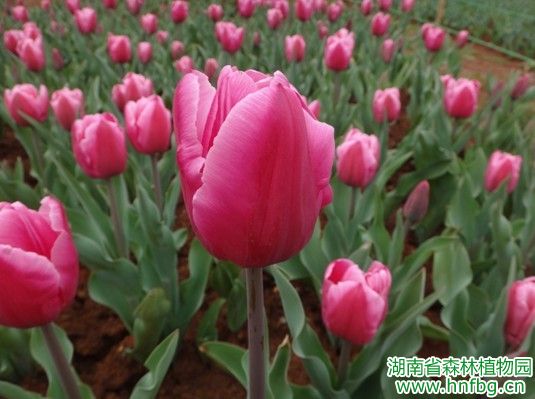 AG旗舰厅(中国游)官方网站