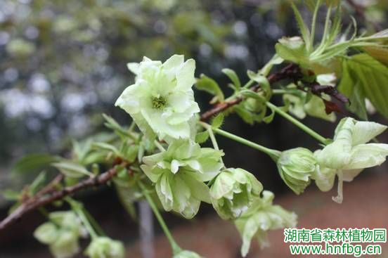 AG旗舰厅(中国游)官方网站