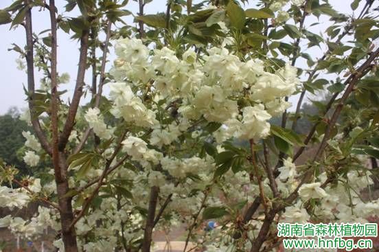AG旗舰厅(中国游)官方网站