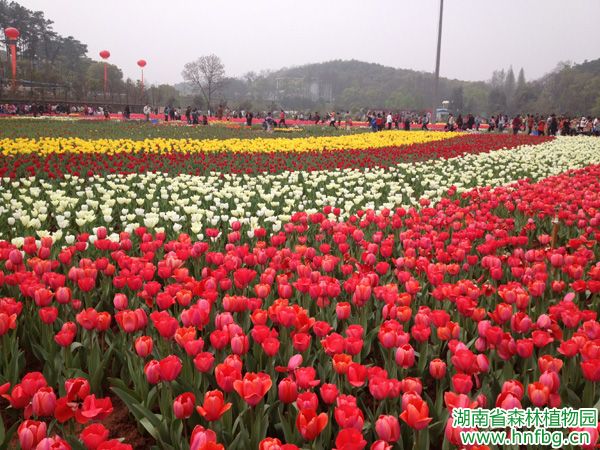 AG旗舰厅(中国游)官方网站