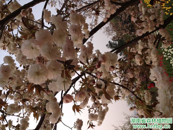 AG旗舰厅(中国游)官方网站