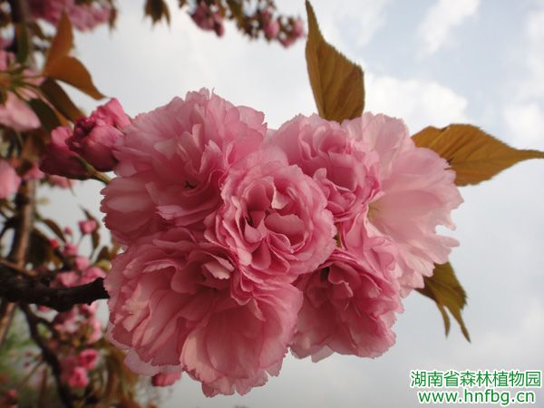 AG旗舰厅(中国游)官方网站