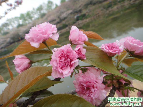 AG旗舰厅(中国游)官方网站