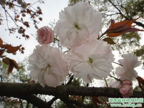 AG旗舰厅(中国游)官方网站