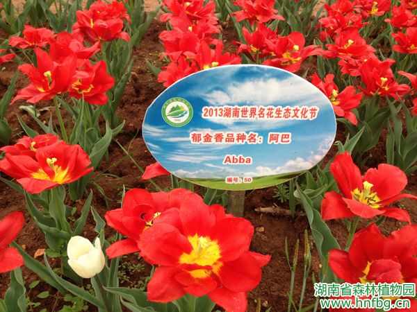AG旗舰厅(中国游)官方网站