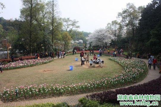 AG旗舰厅(中国游)官方网站