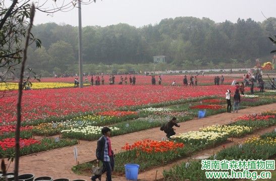 AG旗舰厅(中国游)官方网站