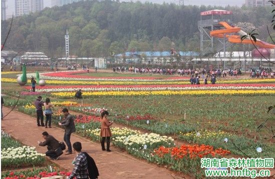 AG旗舰厅(中国游)官方网站